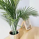 Apartment Boho Arenal Bol Calp